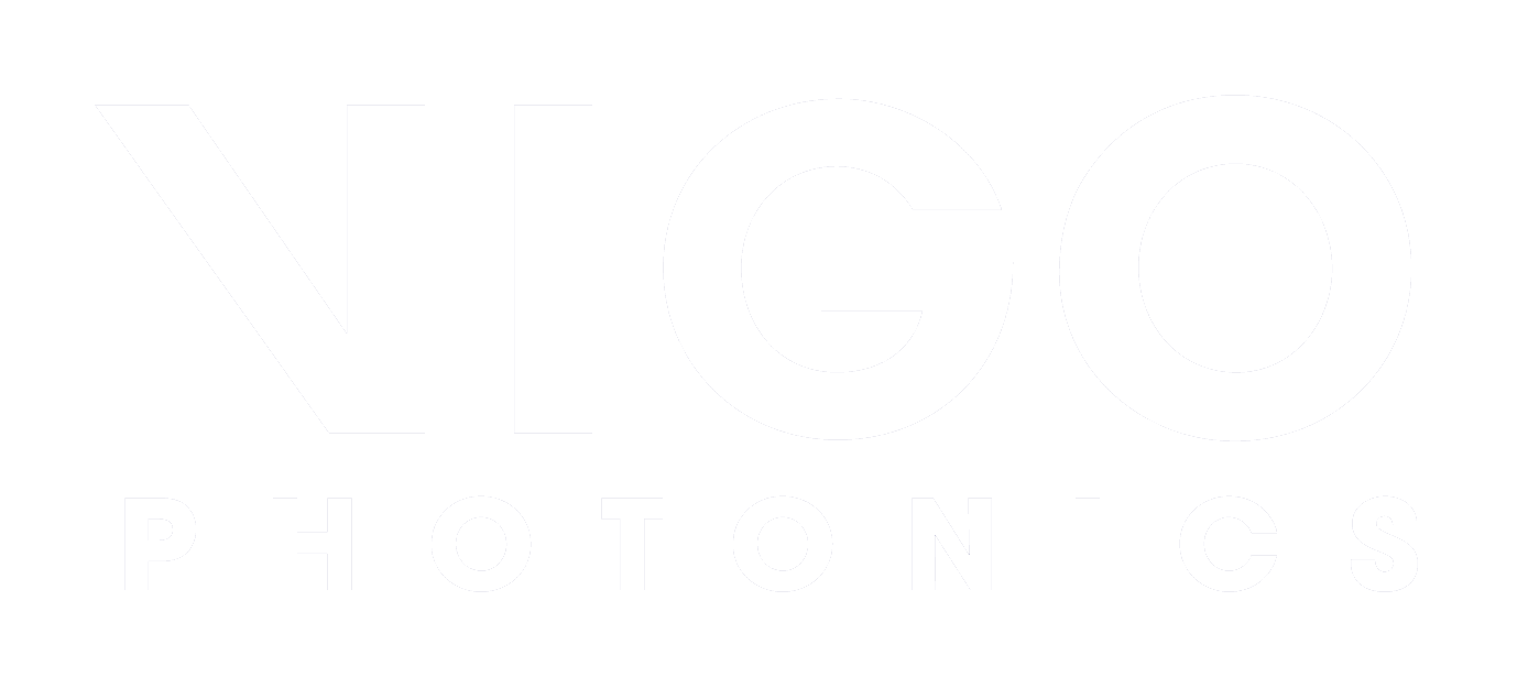 VIGO logo
